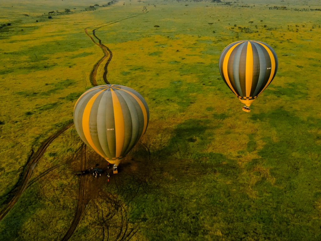 Balloon Safari