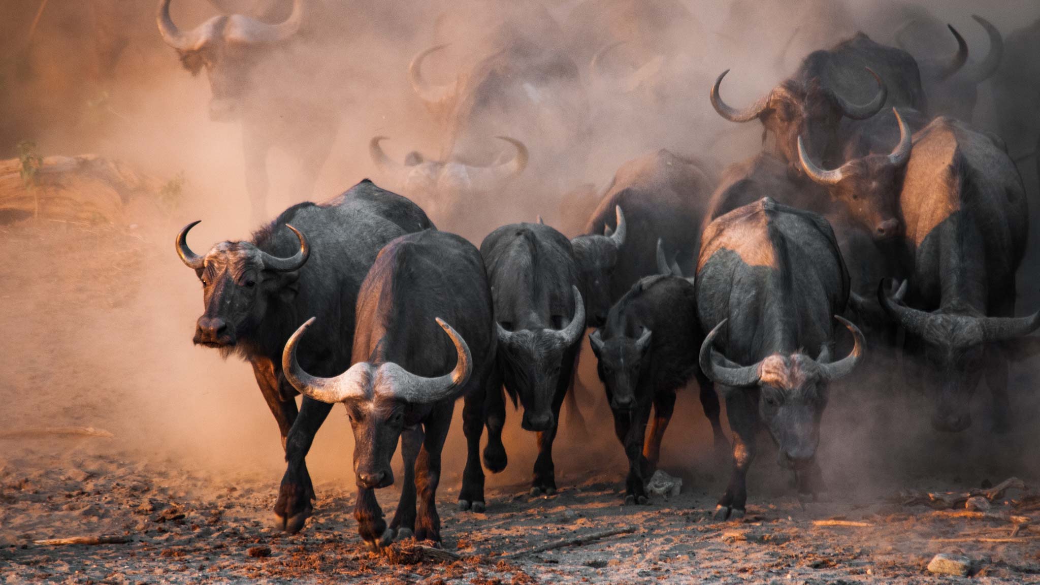 Katavi National Park