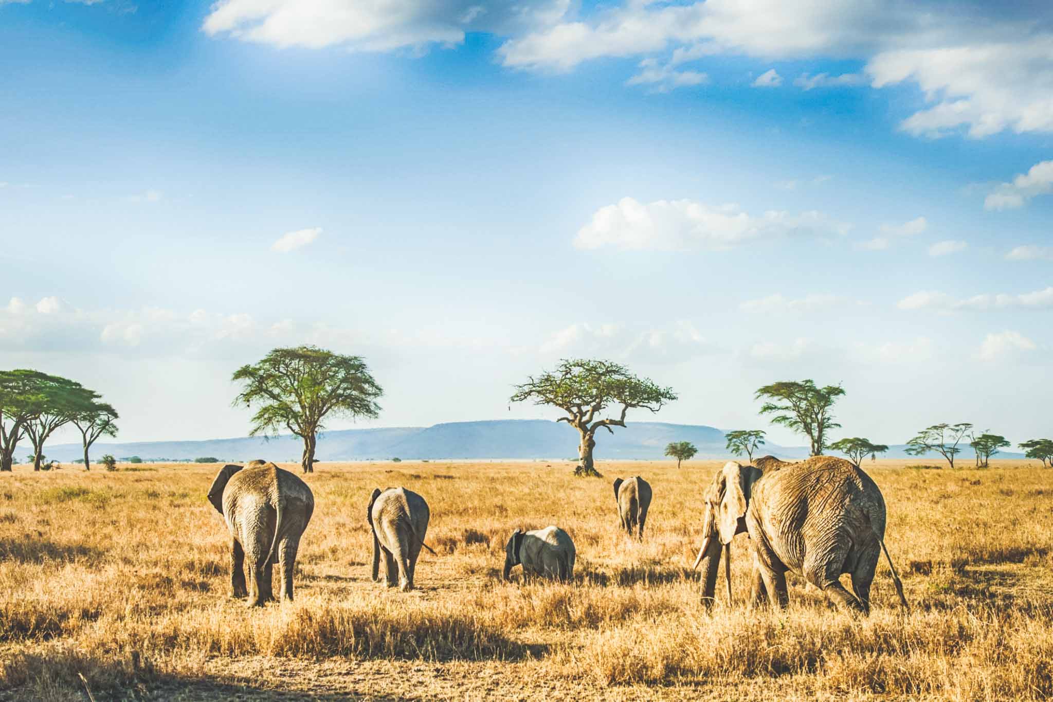 Exploring Tanzania’s Untamed Beauty