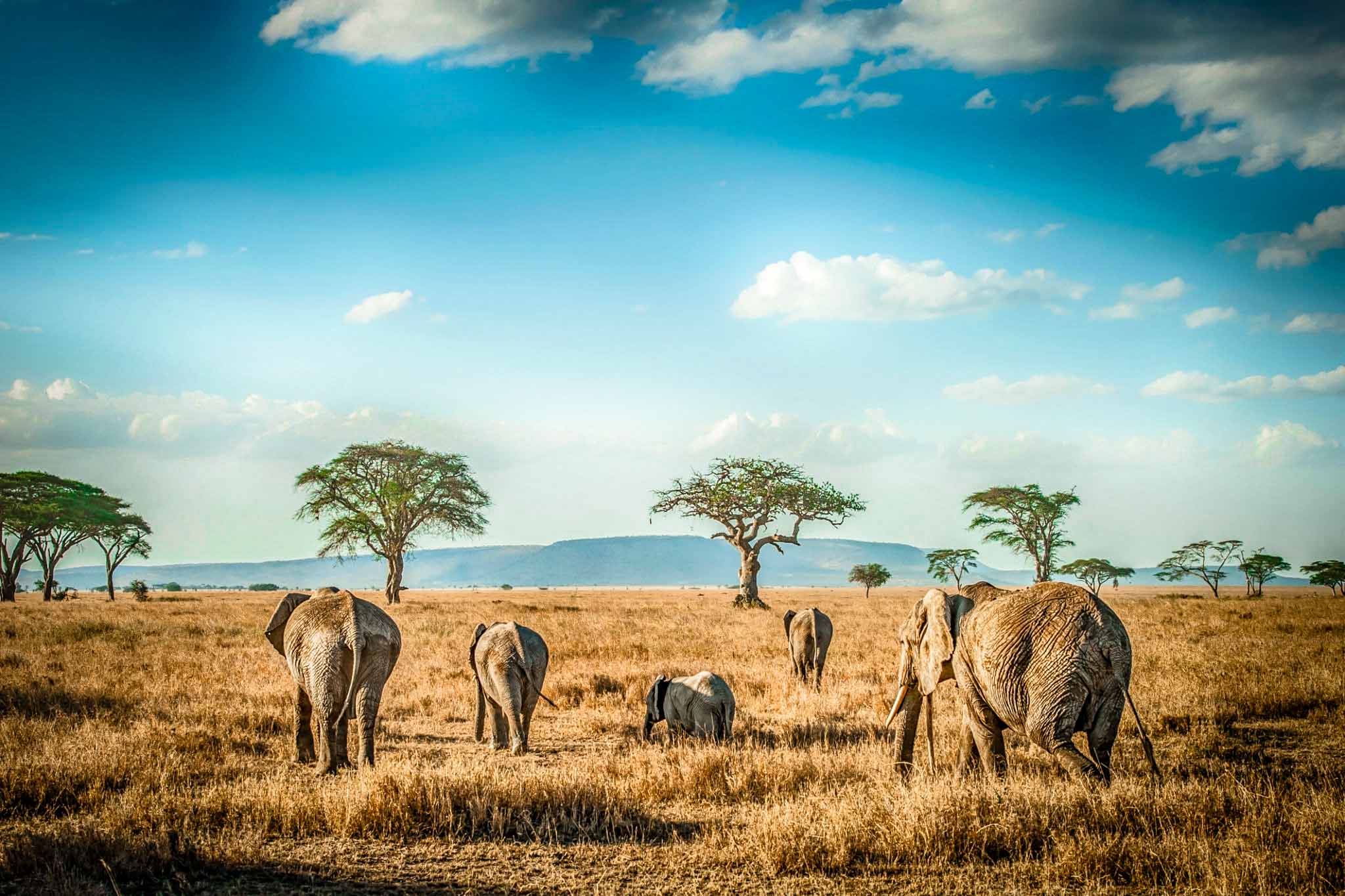 Tarangire National Park